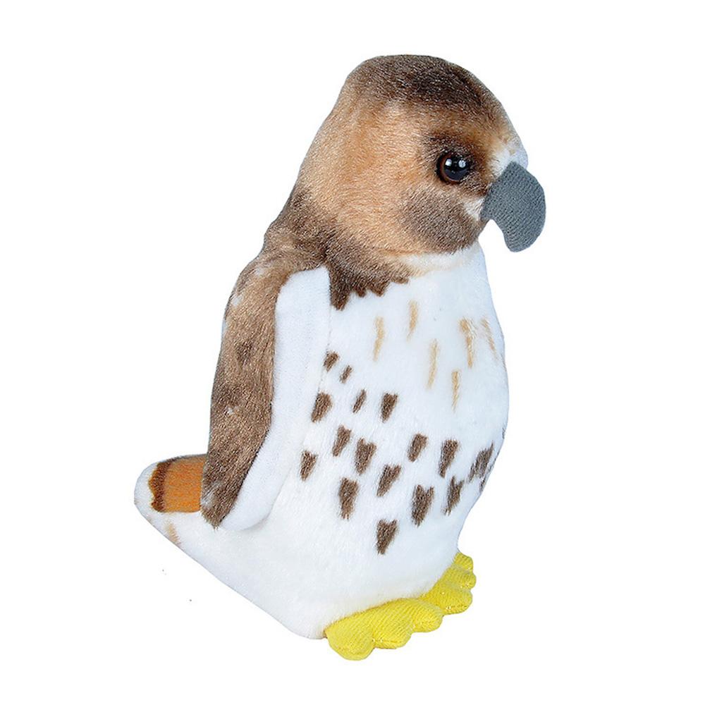 Audubon Birds Adopt A Stream Foundation