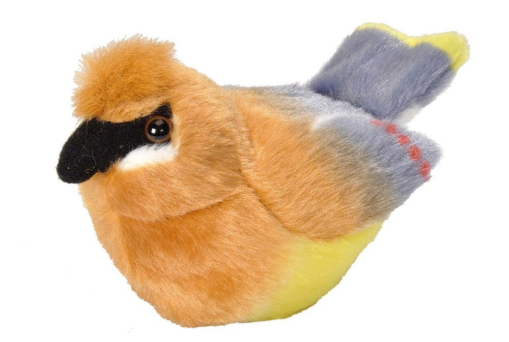 Wild Republic Audubon Birds Collection Con Auténticos Sonidos De Pajaros Colibri Azul Jay Y Baltimore Oriole Juguetes De Pajaros Para Ninos Y