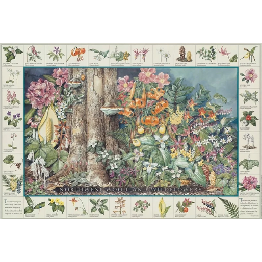 P-20 Northwest Woodland Wildflowers Poster | Adopt A Stream Foundation